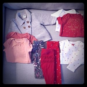 Infant Girls Clothing Bundle | Roses & Grays